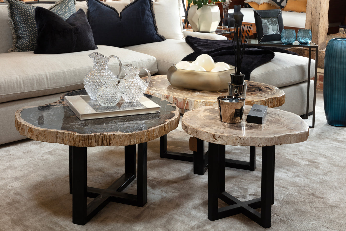 Hudson Petrified Wood Coffee Table