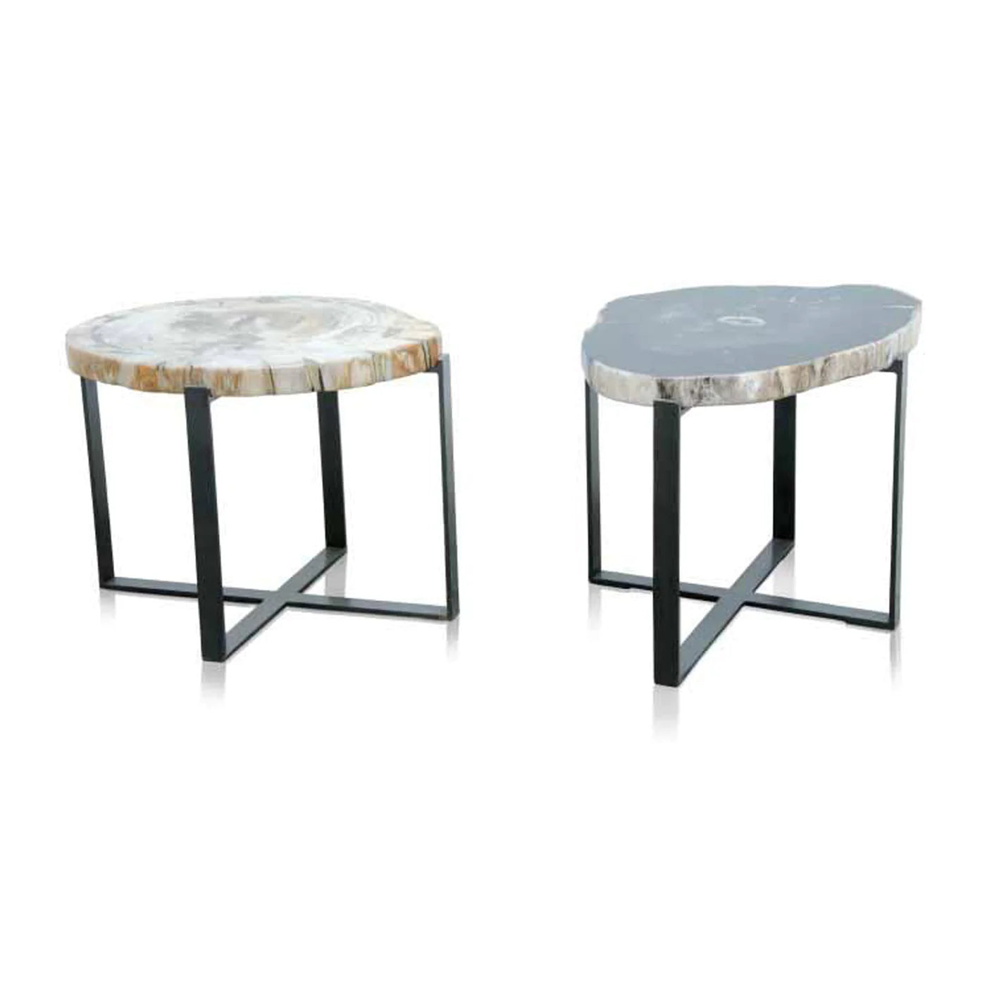 Hudson Petrified Wood Side Table