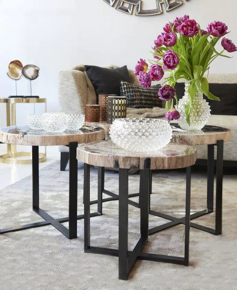 Hudson Petrified Wood Side Table