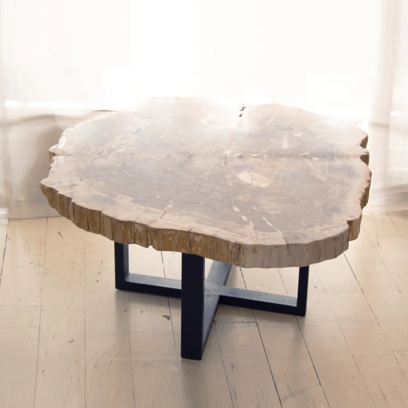 Hudson Petrified Wood Coffee Table