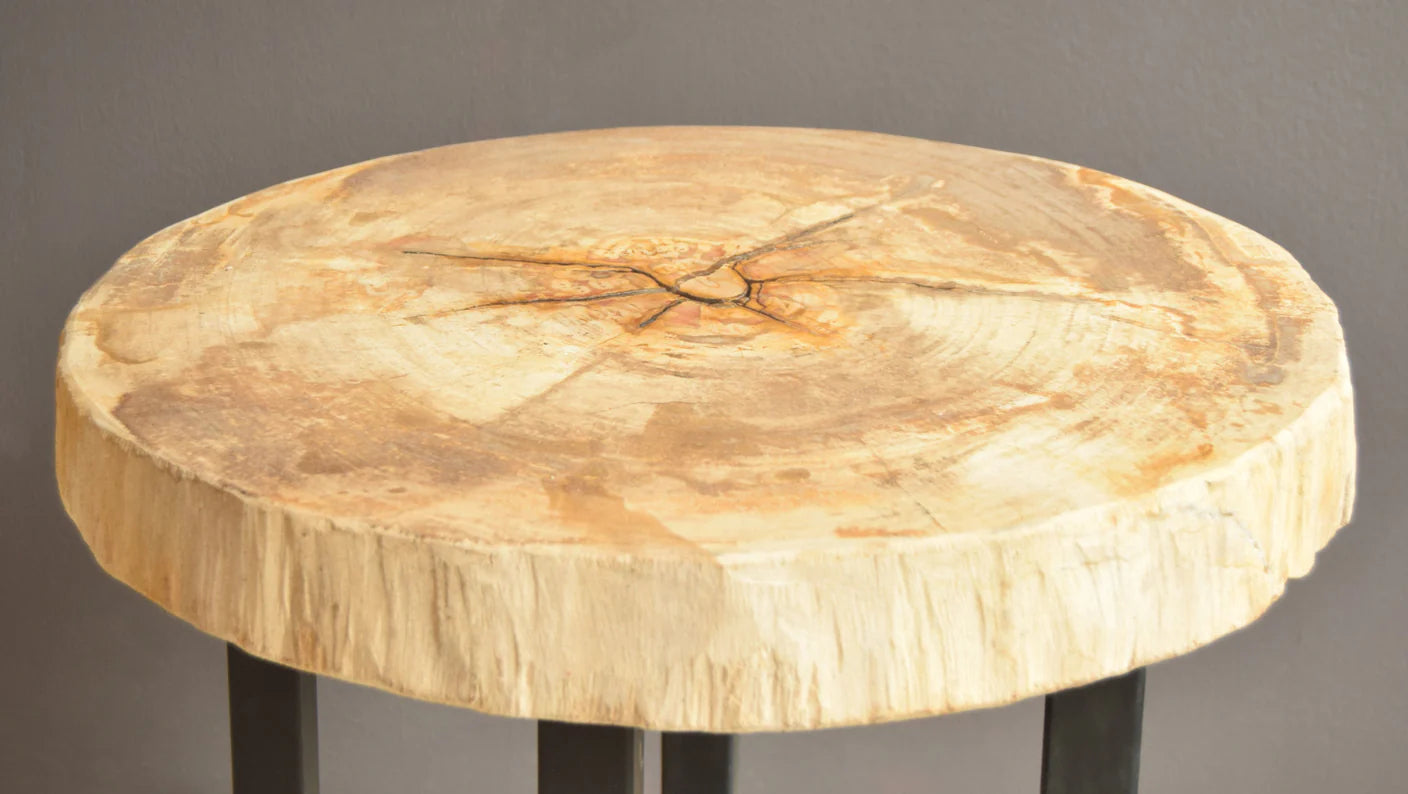 Hudson Petrified Wood Side Table